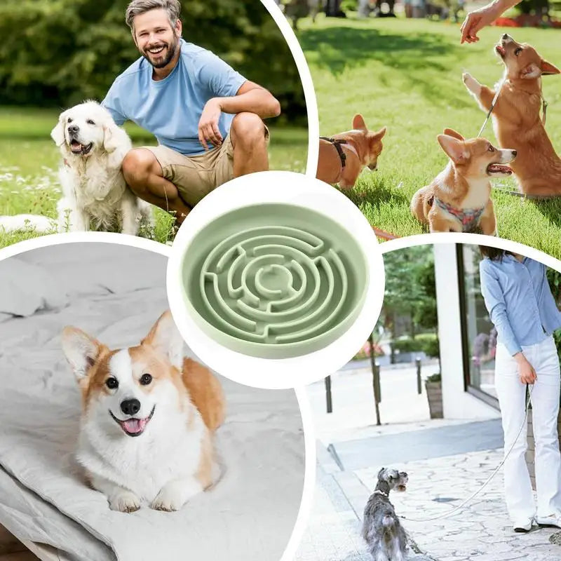 Slow Feeder Dog Bowls Puzzle Slow Feeder Maze Dog Bowl Suction Cup Base Anti-Choking Pet Supplies Interactive Toys For Large To
